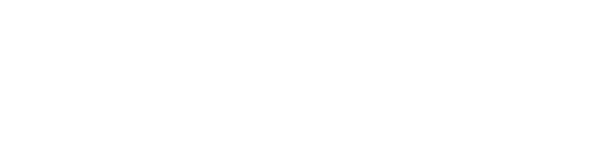 KLIR Pest Control Service